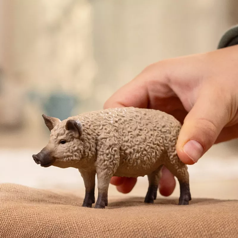schleich FARM WORLD Mangalicos kiaulė, 3 m., Ūkis, ūkio gyvūnai / žaislai, Įvairiaspalvė