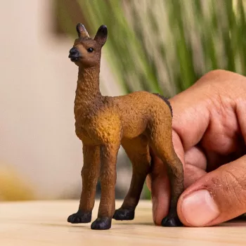 schleich FARM WORLD Lamos jauniklis, 3 m., Ūkis, Ūkio gyvūnai / žaisliniai gyvūnai, Įvairiaspalvis