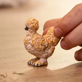 Figūrėlė Schleich Silkie Chicken model 14891 – ūkinio gyvūno figūrėlė, įvairiaspalvė, nuo 3 metų