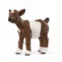 schleich FARM WORLD Ožiukas, 3 m., Ūkis, Ūkio gyvūnai / žaisliniai gyvūnai, Įvairiaspalvis