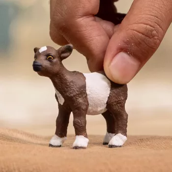 schleich FARM WORLD Ožiukas, 3 m., Ūkis, Ūkio gyvūnai / žaisliniai gyvūnai, Įvairiaspalvis