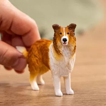 schleich FARM WORLD Kolis