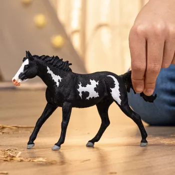 schleich HORSE CLUB Paint Horse Geldings figūrėlė, 5+ metų, arkliai, įvairiaspalvė
