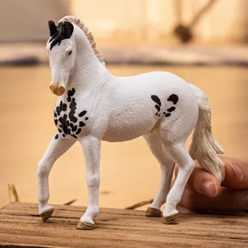 schleich HORSE CLUB Marwari eržilas, 5 metų, Arkliai, Įvairiaspalvis