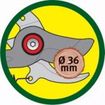 Sodo žirklės WOLF-Garten RR-VM