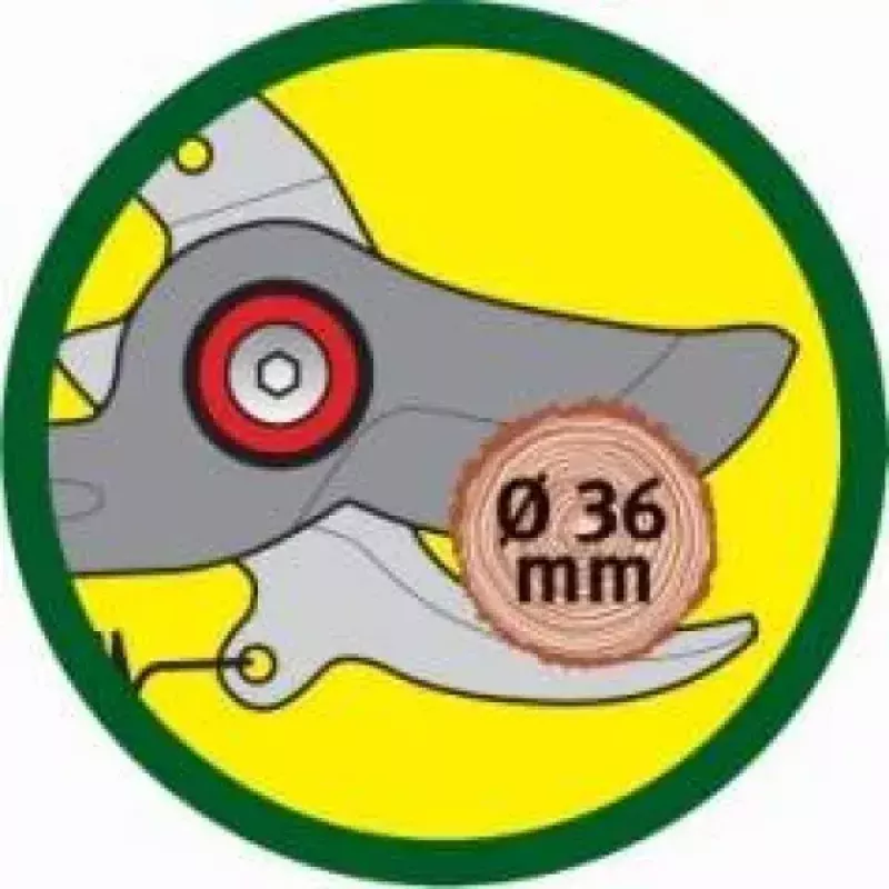Sodo žirklės WOLF-Garten RR-VM