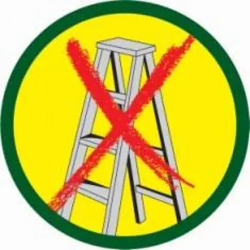 Sodo žirklės WOLF-Garten RR-VM
