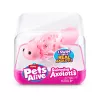 Minkštas žaislas Zuru Pets Alive Swimming Axolotls pliušinis aksolotlis, žaislinės katės dydis, modelis 9556UQ1