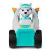PAW Patrol Spinmaster Everest sniego valytuvas – plastikinis žaislas, nuo 3 metų, turkio/balta