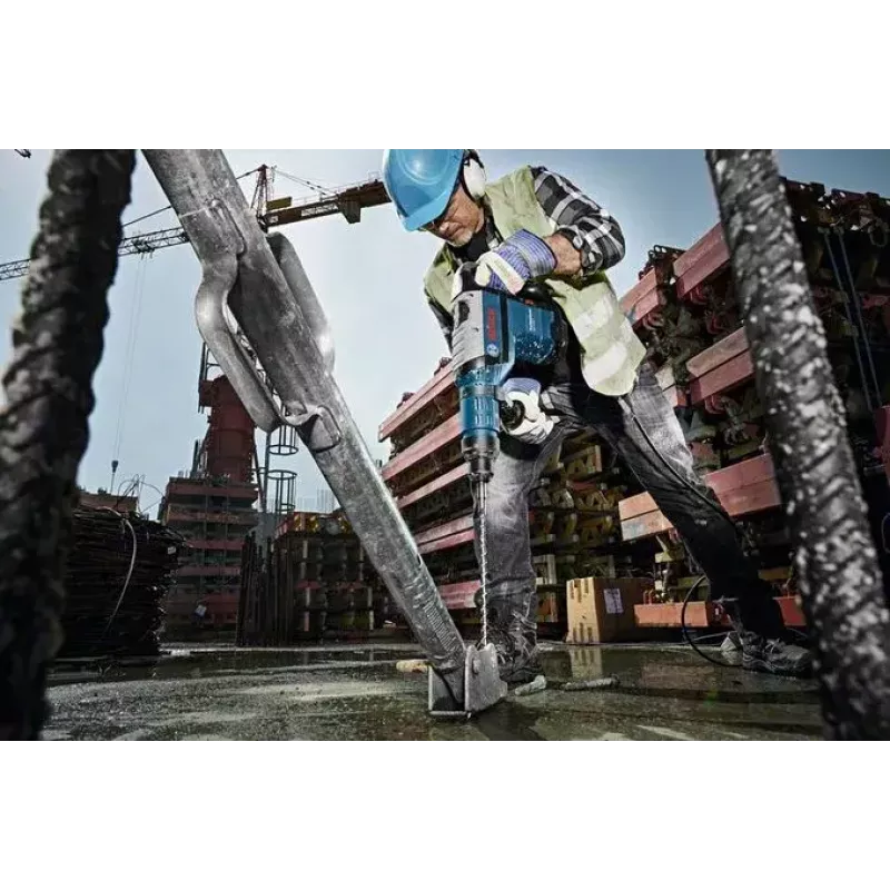 Perforatorius Bosch GBH 8-45 D Professional