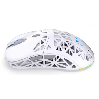 Belaidė ambidekstrinė žaidimų pelė ENDORFY LIV Plus Onyx White Bluetooth optinė 26000 DPI 6 mygtukai įvairiaspalvis apšvietimas baterija