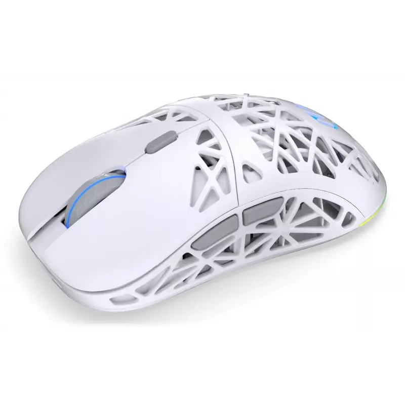 Belaidė ambidekstrinė žaidimų pelė ENDORFY LIV Plus Onyx White Bluetooth optinė 26000 DPI 6 mygtukai įvairiaspalvis apšvietimas baterija