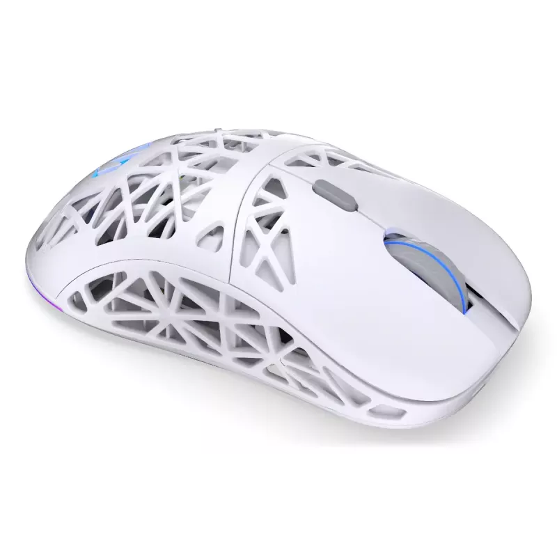 Belaidė ambidekstrinė žaidimų pelė ENDORFY LIV Plus Onyx White Bluetooth optinė 26000 DPI 6 mygtukai įvairiaspalvis apšvietimas baterija