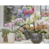 Purkštuvas su baterija Gardena 11114-20, 1 L