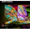 Hisense 85E77Q PRO 2.16 m (85 colių) 4K Ultra HD QLED išmanusis televizorius, Wi-Fi, juodas