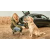 Bosch Fontus 18V belaidis aukšto slėgio plovimo aparatas, stovimas, su baterija
