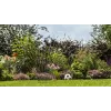Bosch GardenPump18V-2000 sodo siurblys 2000 l/h