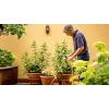 Bosch GardenPump18V-2000 sodo siurblys 2000 l/h