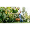 Bosch EasyGrassCut 23 23 cm 280 W AC Juoda, Žalia