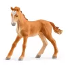 schleich HORSE CLUB Lakeside Riding Center – Žirgų žaidimų centras prie ežero