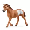 schleich Cowgirl Team Roping Fun žaidimo rinkinys, 3 m., įvairiaspalvis