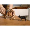 Schleich Vakarų Jojimo Nuotykiai žaidimų rinkinys, 3+ m., Įvairiaspalvis