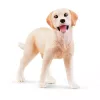 Schleich Vakarų Jojimo Nuotykiai žaidimų rinkinys, 3+ m., Įvairiaspalvis