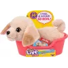 Moose Toys Little Live Pets My Really Real Puppy Mini's – Golden Retriever Buddy
