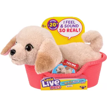 Moose Toys Little Live Pets My Really Real Puppy Mini's – Golden Retriever Buddy