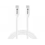 Sandberg USB-C į USB-C 65W 1M SAVER laidas, 1 m, USB C, USB C, USB 2.0, Baltas