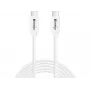 Sandberg USB-C į USB-C USB 3.1 G2 100W 2M laidas baltas