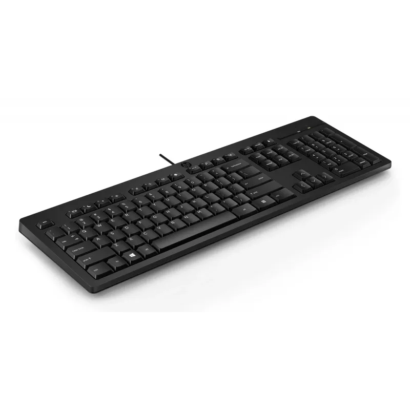 HP 125 USB WD KBD Bulk 12 pilno dydžio laidinė klaviatūra QWERTY