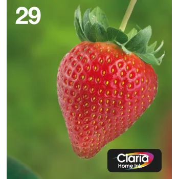 Epson Strawberry Multipack 4 spalvos 29 EasyMail, standartinė talpa, juoda, žydra, rausvai raudona, geltona, 5,3 ml, 3,2 ml, 1 vnt., kelių spalvų rinkinys