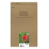 Epson Strawberry Multipack 4 spalvos 29 EasyMail, standartinė talpa, juoda, žydra, rausvai raudona, geltona, 5,3 ml, 3,2 ml, 1 vnt., kelių spalvų rinkinys
