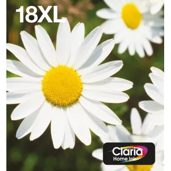 Epson Daisy Multipack 4 spalvų 18XL EasyMail, didelės talpos (XL), juoda, žydra, purpurinė, geltona, 11,5 ml, 6,6 ml, 1 vnt., multipaketas