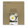 Epson Daisy Multipack 4 spalvų 18XL EasyMail, didelės talpos (XL), juoda, žydra, purpurinė, geltona, 11,5 ml, 6,6 ml, 1 vnt., multipaketas