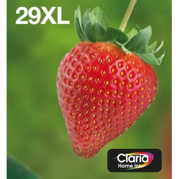 Epson 29XL EasyMail Multipack rašalo kasetės (juoda, žydra, rausvai raudona, geltona) – didelės talpos (XL)