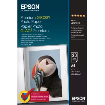 Epson Premium blizgus nuotraukų popierius - A4 - 20 lapų