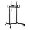 Elektrinis mobilus TV stovas Techly ICA-TR68M 55–100 colių (iki 254 cm) juodas