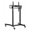 Elektrinis mobilus TV stovas Techly ICA-TR68M 55–100 colių (iki 254 cm) juodas