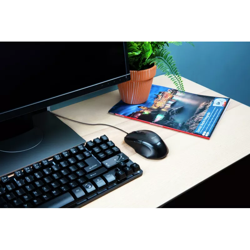 Trust Voca pelė Office dešinei rankai USB-A optinė 2400 DPI