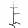 StarTech.com Mobilus projektoriaus ir nešiojamojo kompiuterio stovas/vežimėlis - Patvarus nešiojamas projektoriaus stovas (2 lentynos, kiekviena laiko 10 kg) - Reguliuojamo aukščio riedantis pristatymo vežimėlis su užrakinamais ratukais