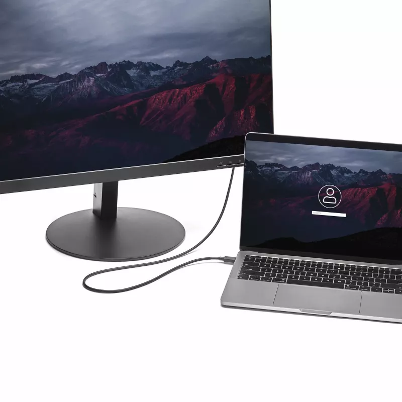 StarTech.com USB-C į DisplayPort 1.2 laidas 1,8 m 4K 60Hz – USB-C į DisplayPort adapterio laidas HBR2 – USB Type-C DP Alt Mode prie DP monitoriaus vaizdo laidas – suderinamas su Thunderbolt 3 – juoda
