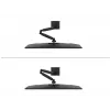 Neomounts DS60-600BL1 Monitor laikiklis 10-32 colių - Quick-fix - 180° stabdis