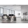 Neomounts FPMA-W300BLACK TV laikiklis sieninis 32-55 colių – itin plokščias