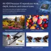 Sony FW-55BZ40L Skaitmeninės reklamos ekranas 139,7 cm (55 inch) LCD Wi-Fi 700 cd/m² 4K Ultra HD Juodas Android 24/7