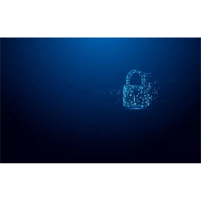 Kingston IronKey 128GB Vault Privacy 50 AES-256 šifruotas, FIPS 197