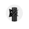 Monitoro laikiklis Kensington K55512WW Space Saving Single