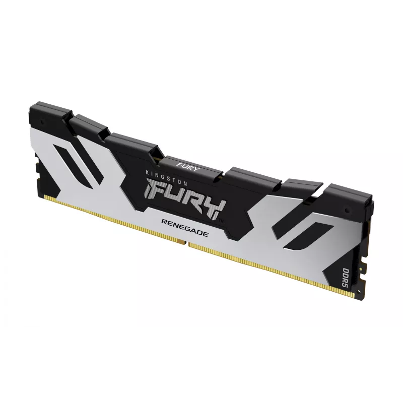 Kingston Technology FURY 16GB 6400MT/s DDR5 CL32 DIMM Renegade Sidabrinė