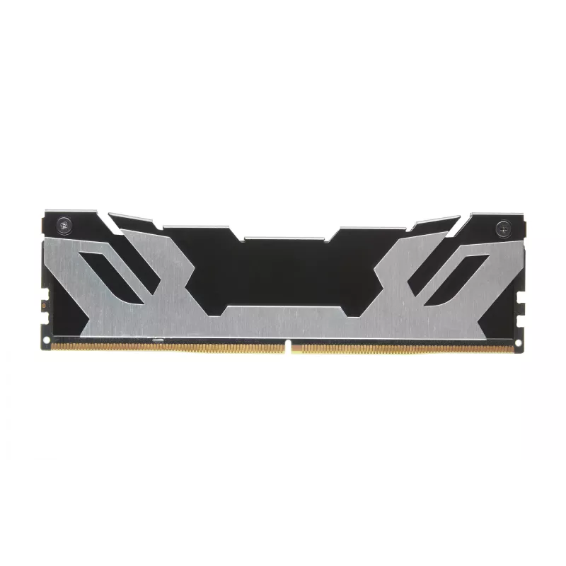Kingston Technology FURY 16GB 6400MT/s DDR5 CL32 DIMM Renegade Sidabrinė